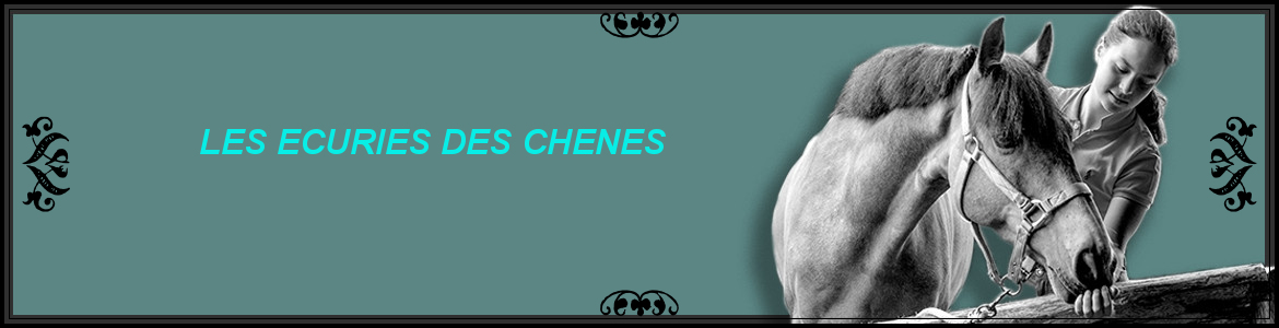              LES ECURIES DES CHENES